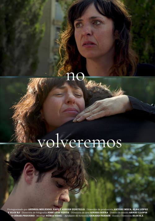 No volveremos